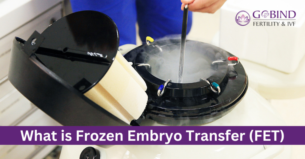 Frozen Embryo Transfer