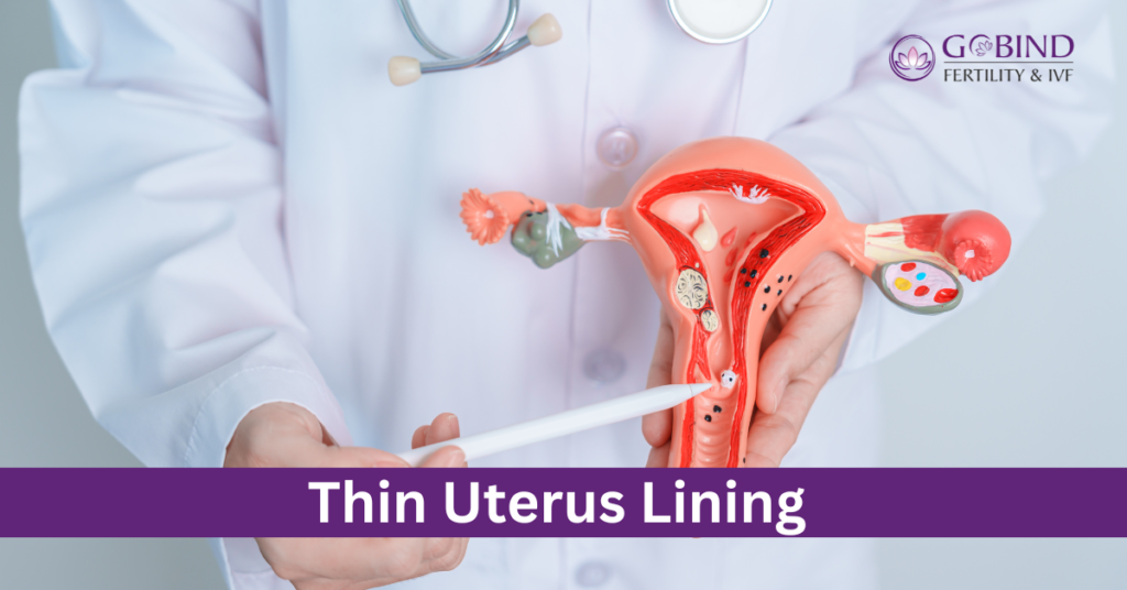 Thin Uterus Lining