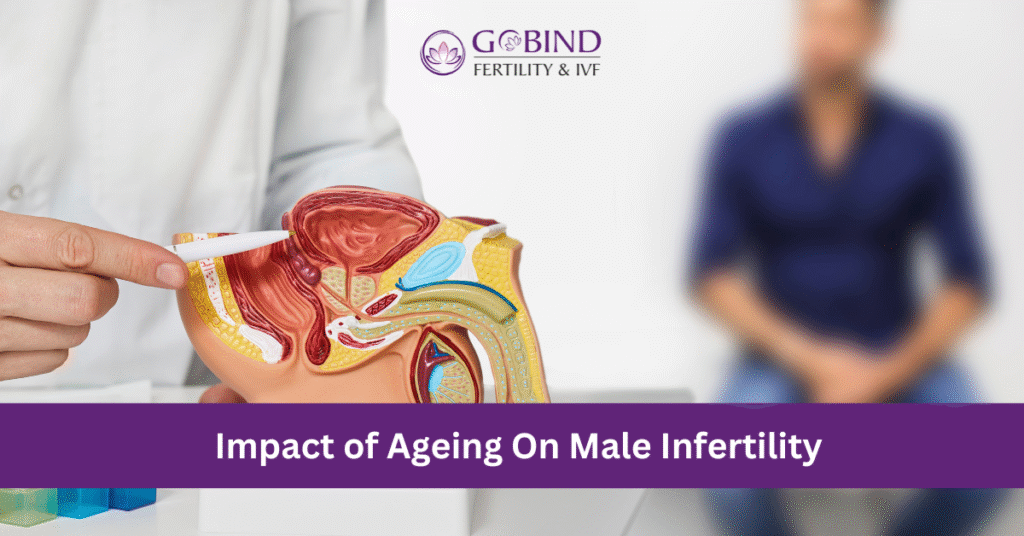 impact of Ageing on Male infertility