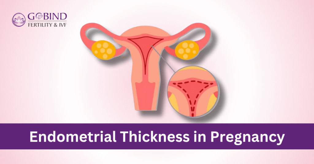 What is Endometial Thickness and how it affects fertility in females