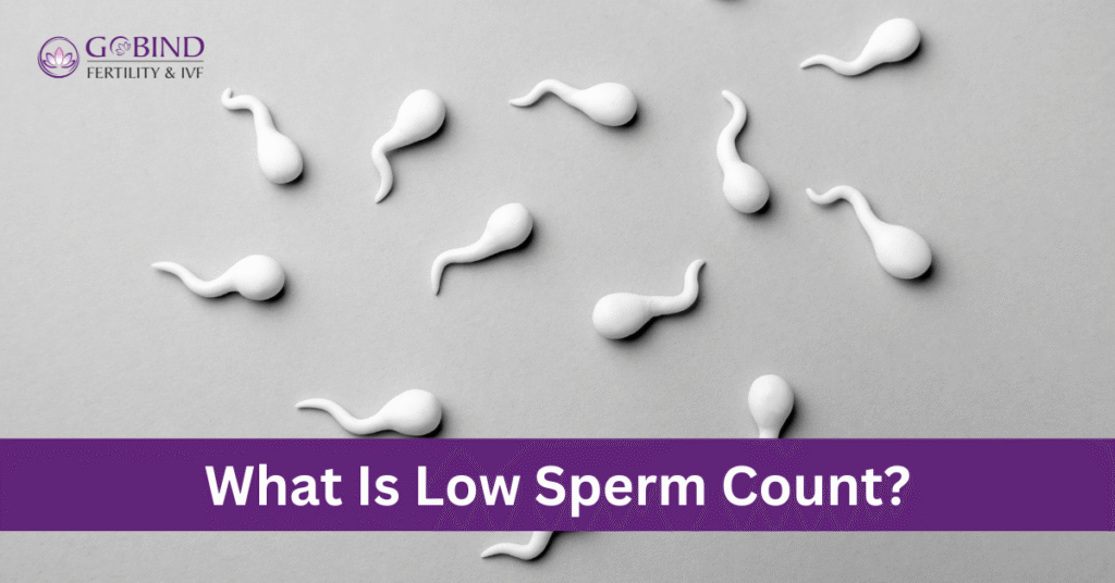 Best InFertility & IVF Center in Hisar Haryana