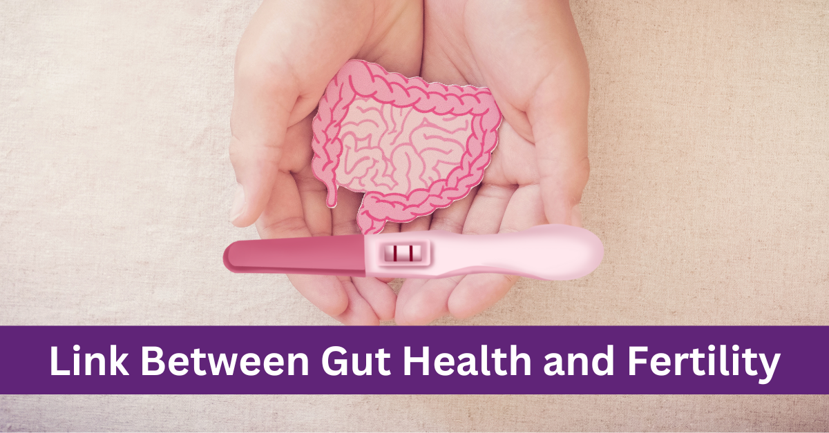 Link Between Gut Health and Fertility